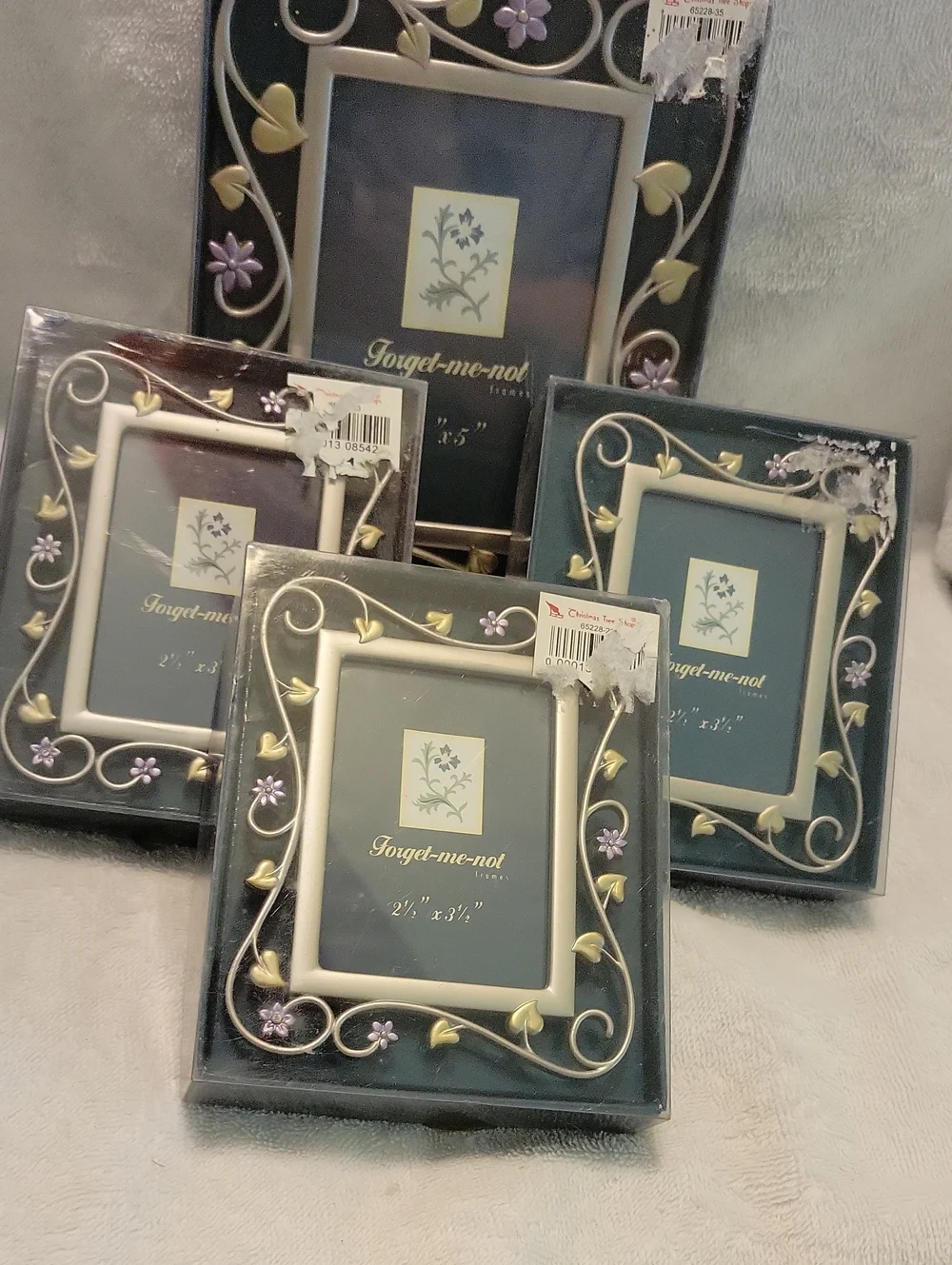 Forget Me Not Frame Lot